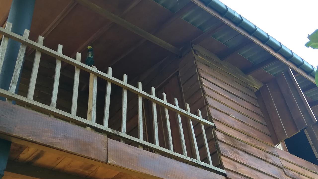 Sigiri Sarilco Rock View Treehouse Villa Sigiriya Exterior photo
