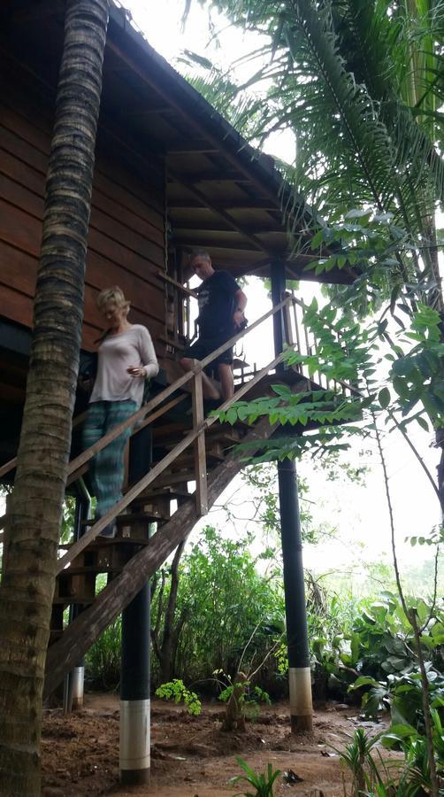 Sigiri Sarilco Rock View Treehouse Villa Sigiriya Exterior photo
